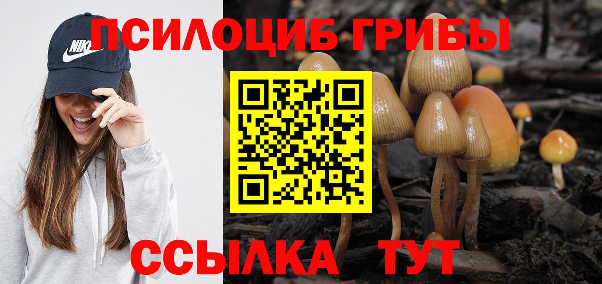 Галлюциногенные грибы ЛСД Прохладный