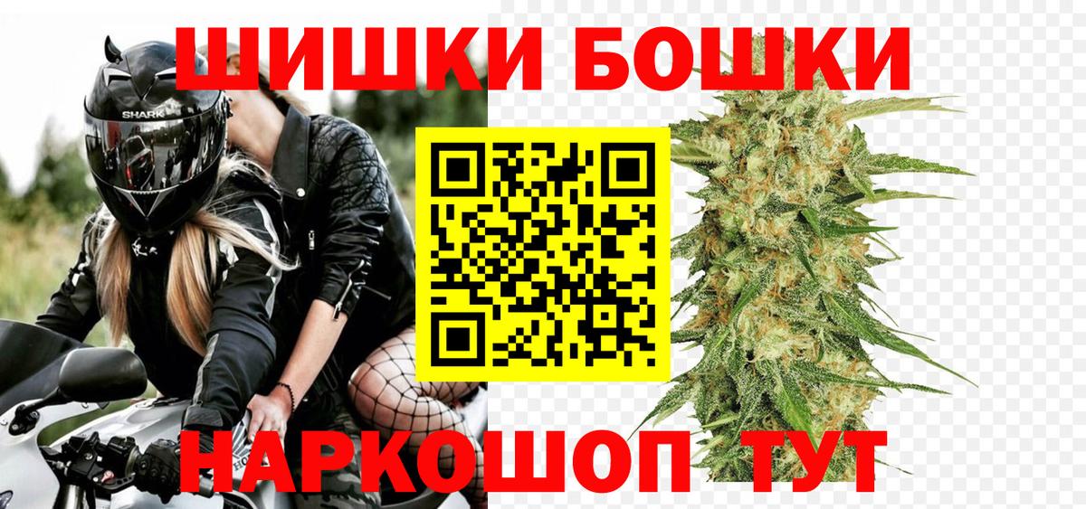 Конопля семена  Конопля план  Прохладный  Вход с VPN 